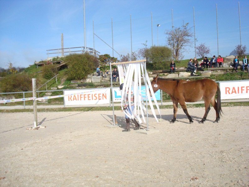 Championnat suisse Horseathlon Dsc02212