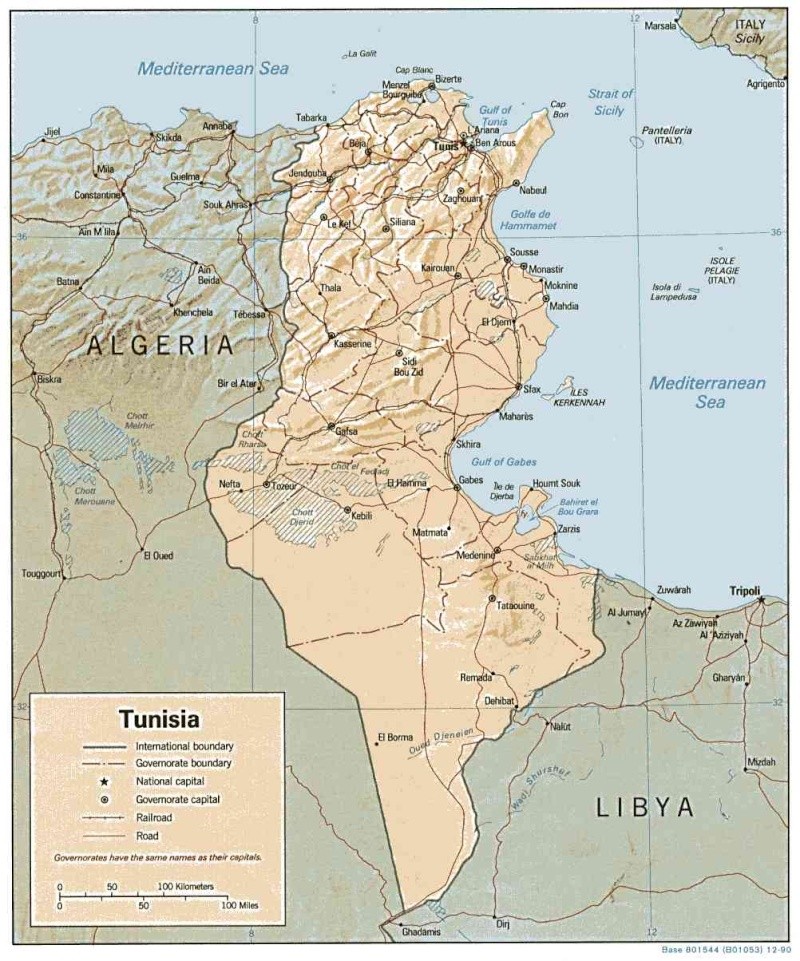 خرائط وأعلام الدول العربية Tunisi10