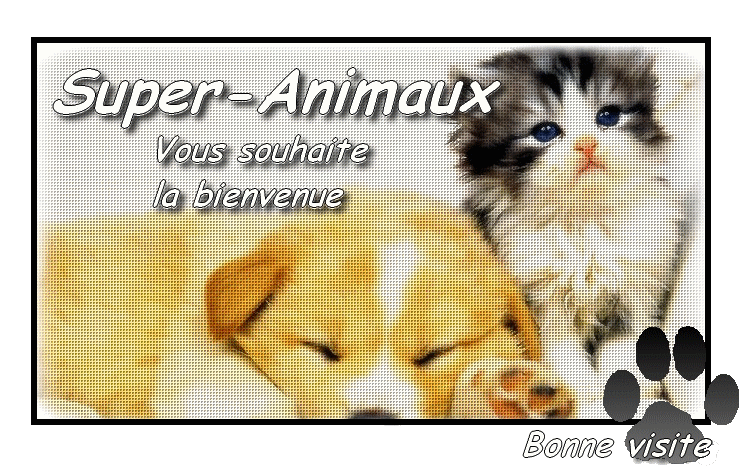 Super-Animaux Banier10
