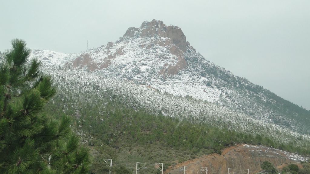 24 FEVRIER 2013 : NEIGE DANS LE VAR, INCROYABLE !! Dsc03076