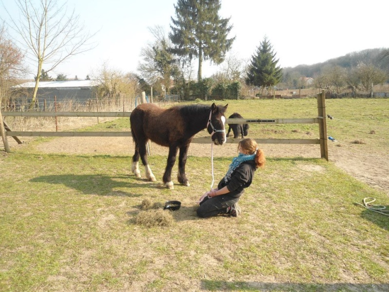 Dream-love ONC irish cob  55476010