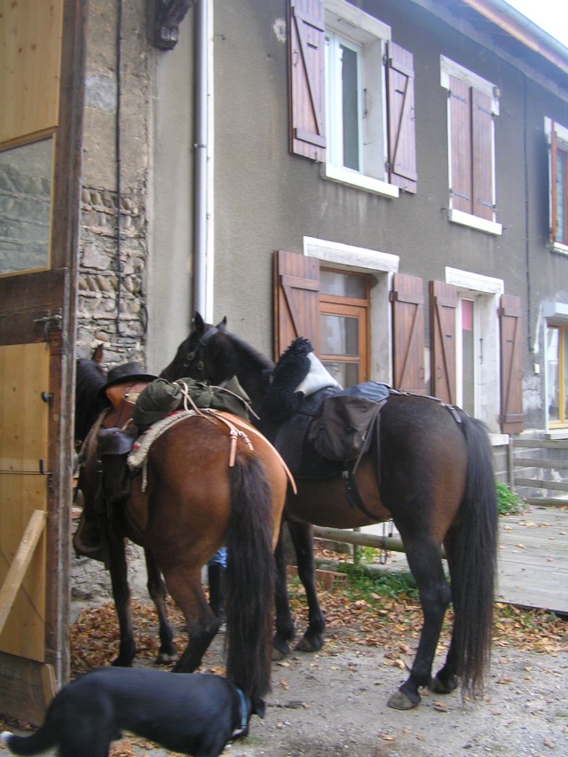 Week end de folie dans le Nord.....Isère Pa250137