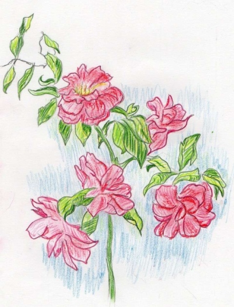 Gardenia (par tinasaorine) Garden10