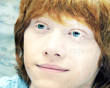 harry - * Gli Attori di Harry Potter * Rupert10