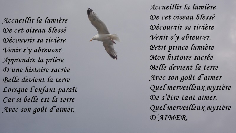 CHANSONS - Page 3 2013-011