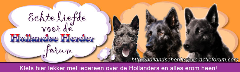 Echte liefde voor de Hollandse Herder