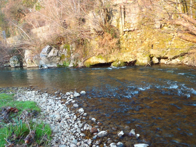 quels que photo de ma rivière pour l'ouverture de la truite Photo310