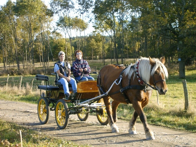 sortie en attelage vers Lezoux les week ends Imag0010