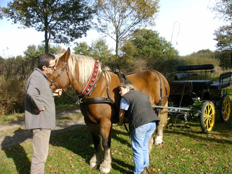 sortie en attelage vers Lezoux les week ends Imag0011