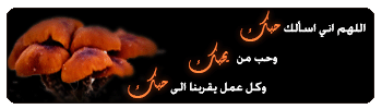 جيسي عبدو: أسامة الرِّحباني لا يؤثِّر به الدَّلع 24 نوفمبر 2012 7bk10