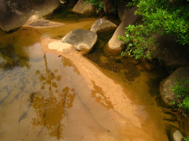 Borneo Tracks: Gunung Piuh Forest Resort Bridge11