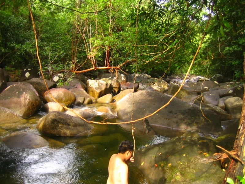 Borneo Tracks: Gunung Piuh Forest Resort River_10