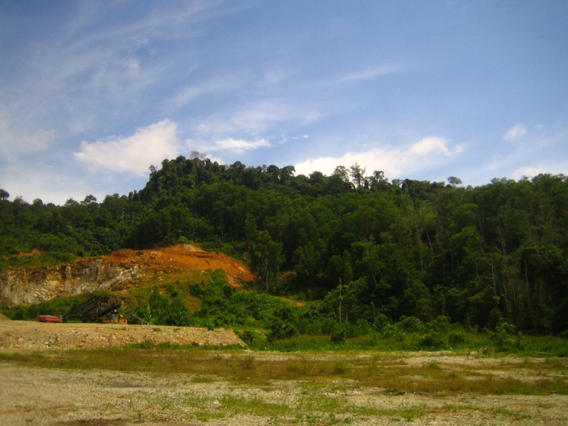 Borneo Tracks: Gunung Piuh Forest Resort Scenic11