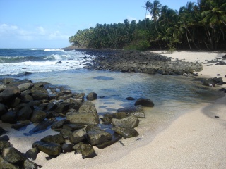 Mes 3 ans en Guyane Vacanc12