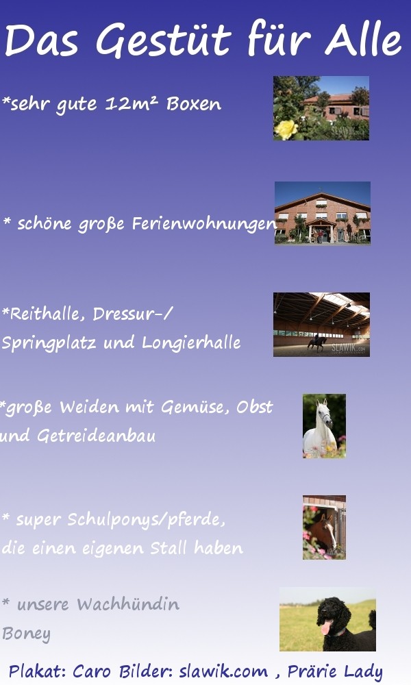 (c) Caro0510 - Meine Layouts Plakat12