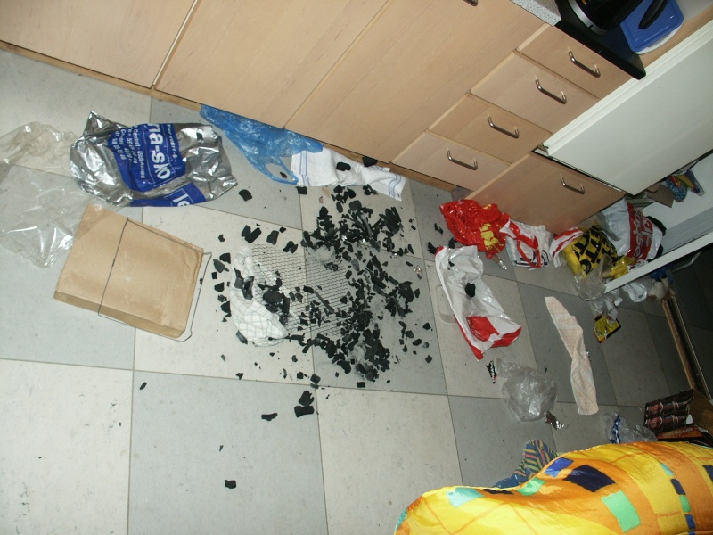 If you are leaving your dog alone - post pics of damages in house Pict0010