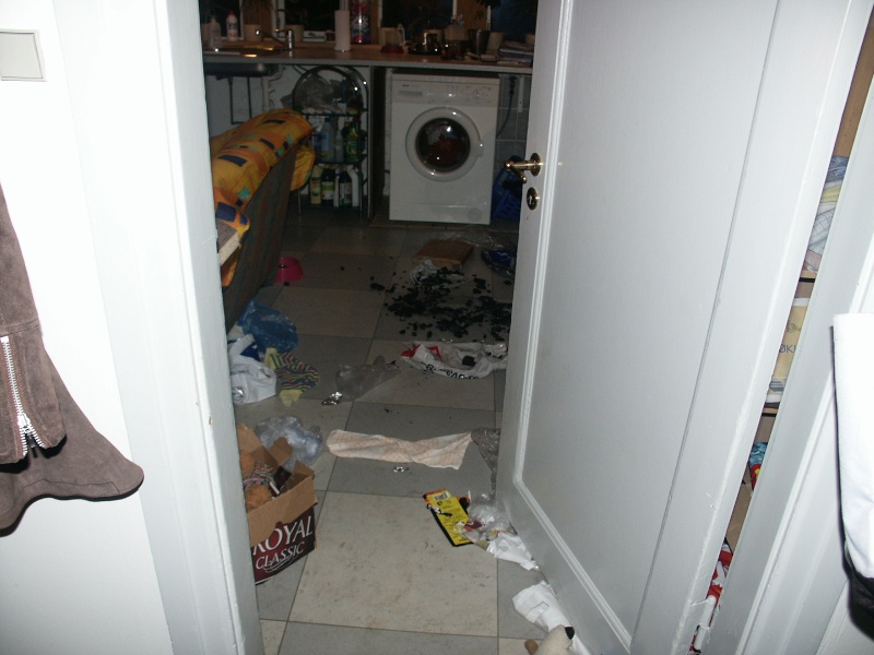 If you are leaving your dog alone - post pics of damages in house Pict0011