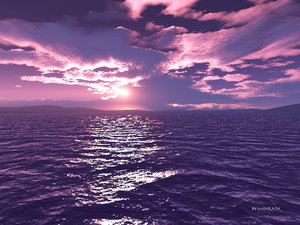 what the violet sea looks like Violet10