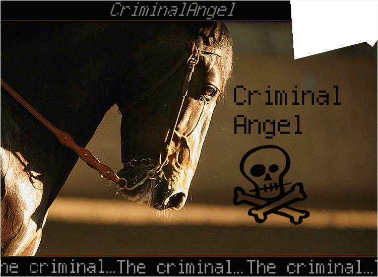 < CRiiMiiNAL ANGEL > 12671910