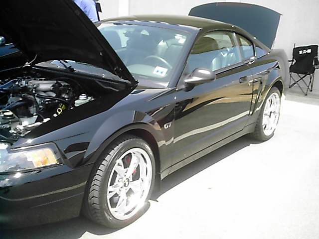 Keeter Ford Mustang show in Shelby,NC Mayhem19