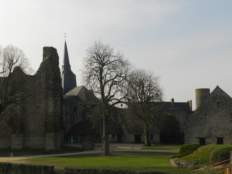 Sainte Suzanne (Mayenne) et le camp des anglais Vauvar14