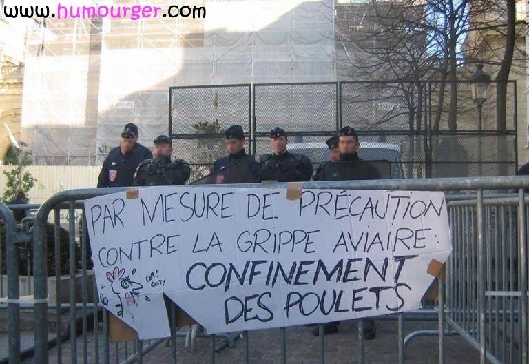 PHOTOS - toujours un pour faire le con sur les photos !! - Page 16 Bv000110