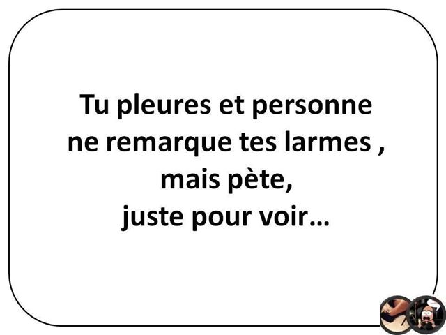 la pensée du jour - Page 22 12361210