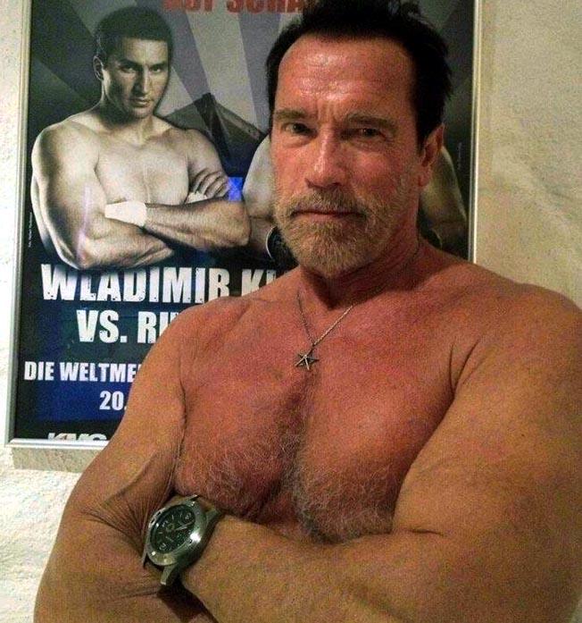 Arnold Schwarzenegger 2013 A10