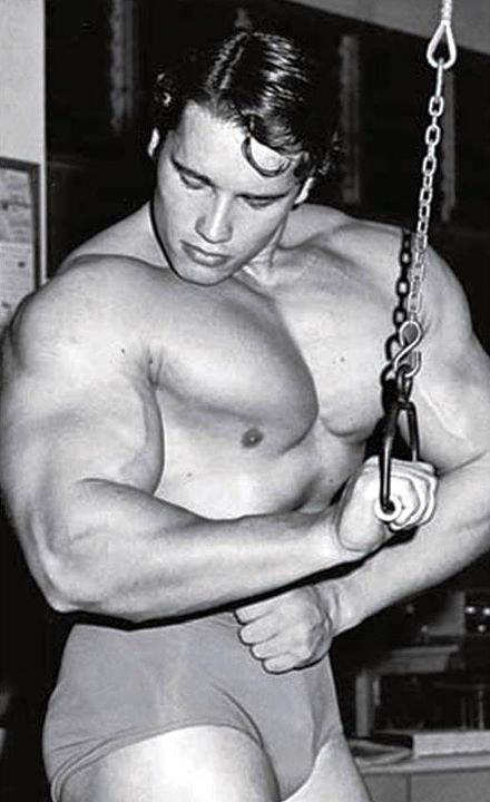 Arnold Schwarzenegger - Page 7 Tlifxo10