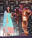 Yash Chopra's Statue Unveiled Yas13014