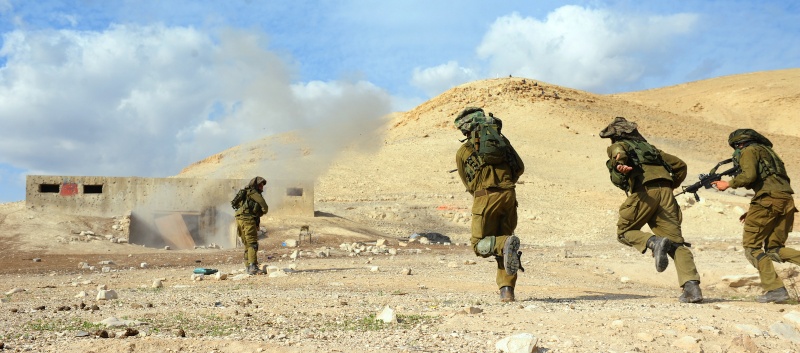 Armée Israélienne / Israel Defense Forces (IDF) - Page 5 S310