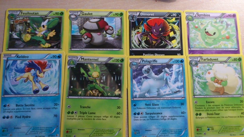 Cartes Pokémon (Boosters, Echanges...) Dsc_0315