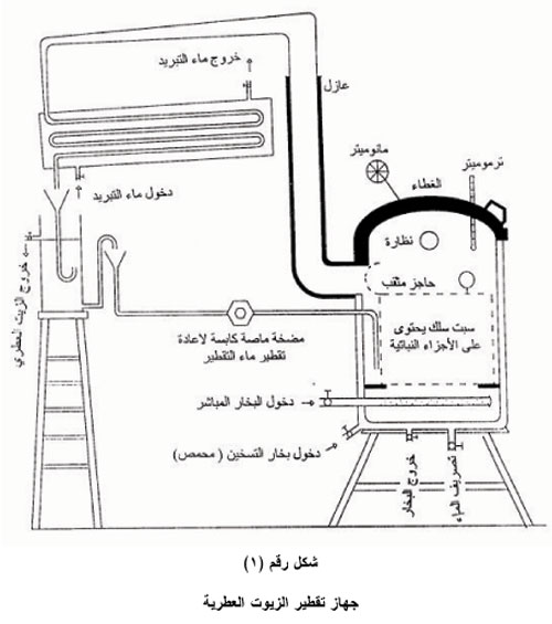 استخلاص الزيوت العطرية بطرق التقطير المختلفة 310