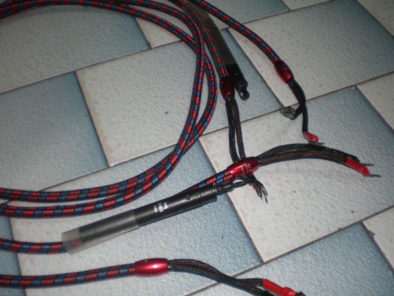 Audioquest CV6 36v dbs spk cable(used)price reduced Cv6dbs10