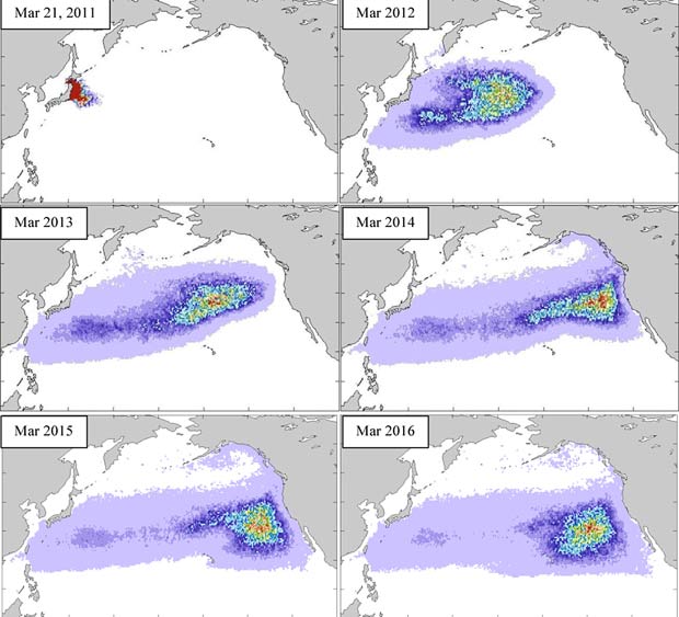 L'incroyable voyage du bateau fantôme japonais Tsunam13