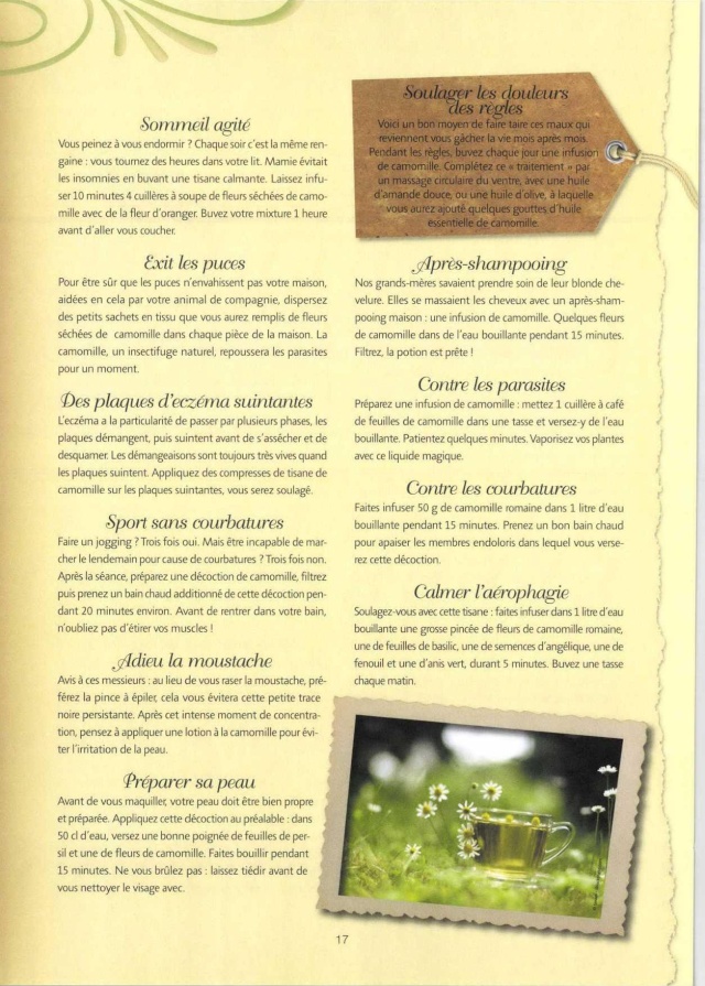 carnet de mamie Magazi37