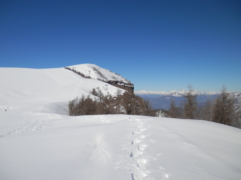 ESCURSIONE CON LE CIASPOLE DEL 03/03/2013 in alta Lessinia dalla conca di S.Giorgio a Cima Sparavieri ed al monte Tomba P3030018