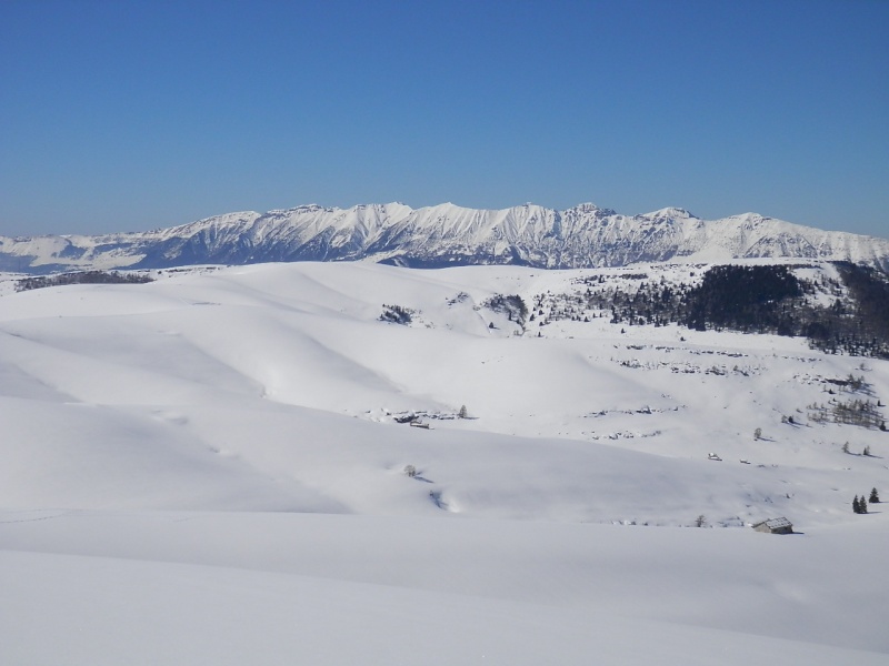 ESCURSIONE CON LE CIASPOLE DEL 03/03/2013 in alta Lessinia dalla conca di S.Giorgio a Cima Sparavieri ed al monte Tomba P3030024