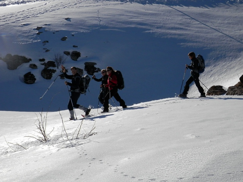 ESCURSIONE CON LE CIASPOLE DEL 03/03/2013 in alta Lessinia dalla conca di S.Giorgio a Cima Sparavieri ed al monte Tomba P3030113