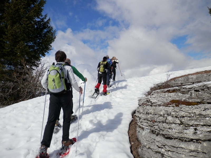 ESCURSIONE CON LE CIASPOLE DEL 10/03/2013 in alta Lessinia da Passo Fittanze a Malga Lessinia per Malga Lavacchione P3100019