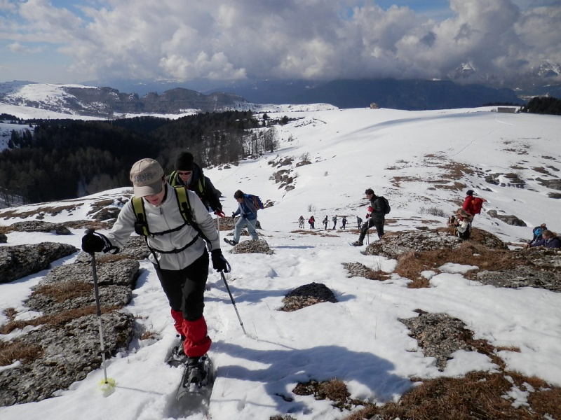 ESCURSIONE CON LE CIASPOLE DEL 10/03/2013 in alta Lessinia da Passo Fittanze a Malga Lessinia per Malga Lavacchione P3100045