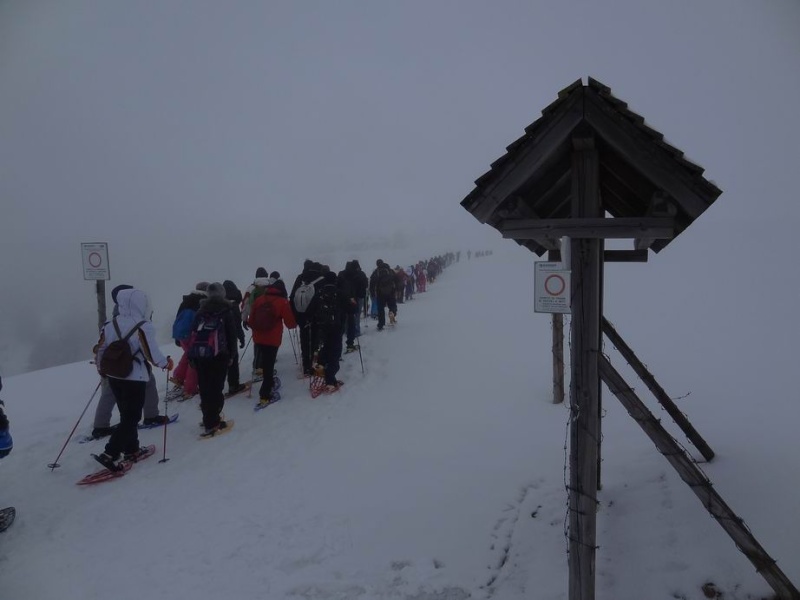 ESCURSIONE CON LE CIASPOLE PER NEOFITI DEL 27/02/2013 in Lessinia nella zona di Conca dei Parpari Ridime37