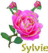  JOYEUX ANNIVERSAIRE SYLVIE (Sylvie71) Sylvie10