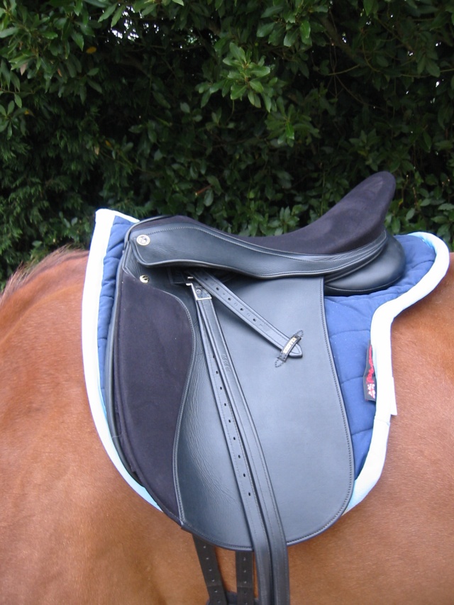 Recherche Selle dressage wintec Genf_210