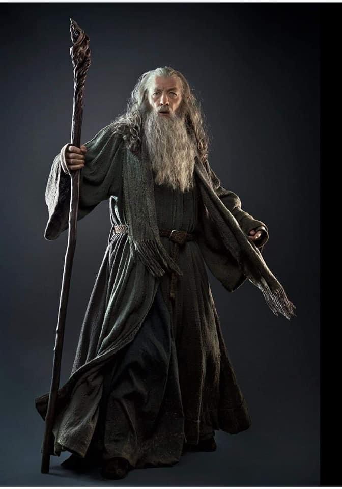 The Lord of the Rings : Gandalf the Grey 52c41210