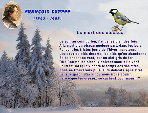 Poème "La mort des oiseaux" de François Coppée de la part de Josiane 11izdz11