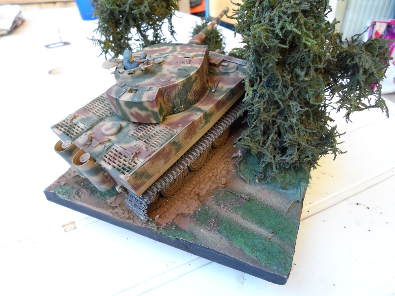 tigre - Tigre I poche de chambois 1944 tamiya 1/35 Sam_1016