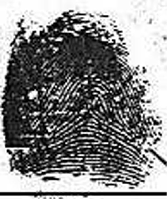 X - WALT DISNEY - One of his fingerprints shows an unusual characteristic! Walt-d14