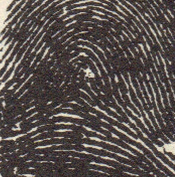 X - WALT DISNEY - One of his fingerprints shows an unusual characteristic! Walt-d18