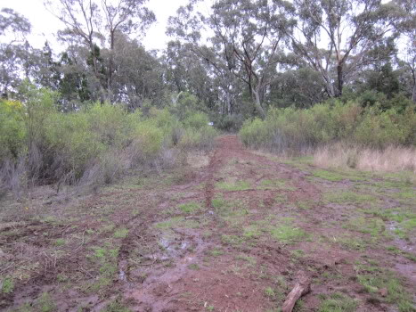 Bike Territory Riding Park Review from a Quad Rider Trip710